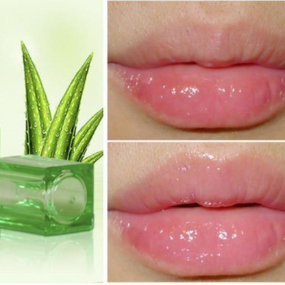 HydraColor Lips – Baume Teinté Hydratant à l'Aloé Véra